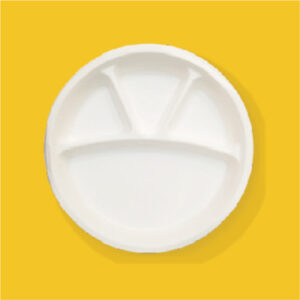 11 inch 4 Compartment Ecofriendly Bagasse Plate
