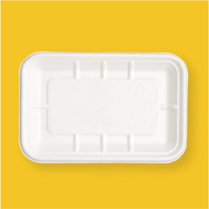 2D Multipurpose Rectangular  Ecofriendly Bagasse Tray