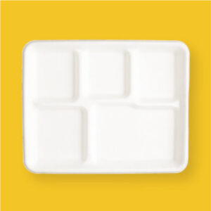 5 CP SCHOOL MEAL TRAY Ecofriendly Bagasse