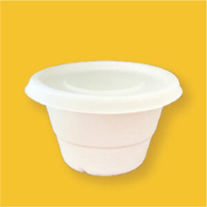 500 ml 16 Lid Takeaway containers Ecofriendly Bagasse Cups