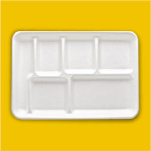 6 CP Meal Tray Ecofriendly Bagasse