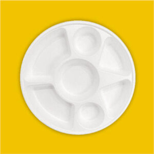 7 Compartment Round Ecofriendly Bagasse Plates