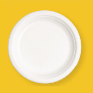 7 inch Round Ecofriendly Bagasse Plate