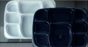8 Compartment Meal Tray with Lid