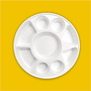 9 Compartment Round Ecofriendly Bagasse Plates