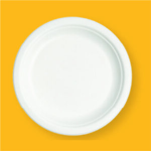 10 inch Round Ecofriendly Bagasse Plate