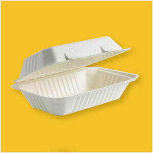 9 x 6 Container Takeaway containers Ecofriendly Bagasse Cups