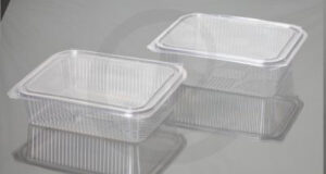 1250/1500 Ml Hinged Box CC Hinged Container Plastic Cups