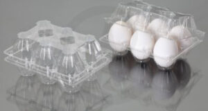 PET Bakery Hinged Box-Egg tray