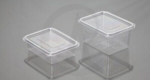 250/500 ml PET Bakery Hinged Box-CC Hinged Container