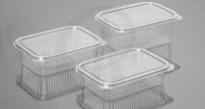 600/750/1000 Ml Hinged Box RIB Hinged Container Plastic Cups