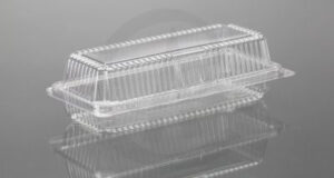 16 - L PET Bakery Hinged Box- Big Bakery Box