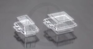 Small Big Hinged Box Plastic Cups