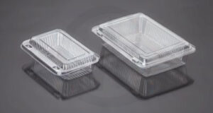 200/400gms PET Bakery Hinged Box- Super Box