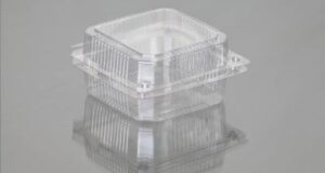 Kiwi Box Hinged Box Plastic Cups