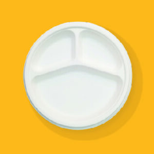 10 inch 3 Compartment Ecofriendly Bagasse Plate